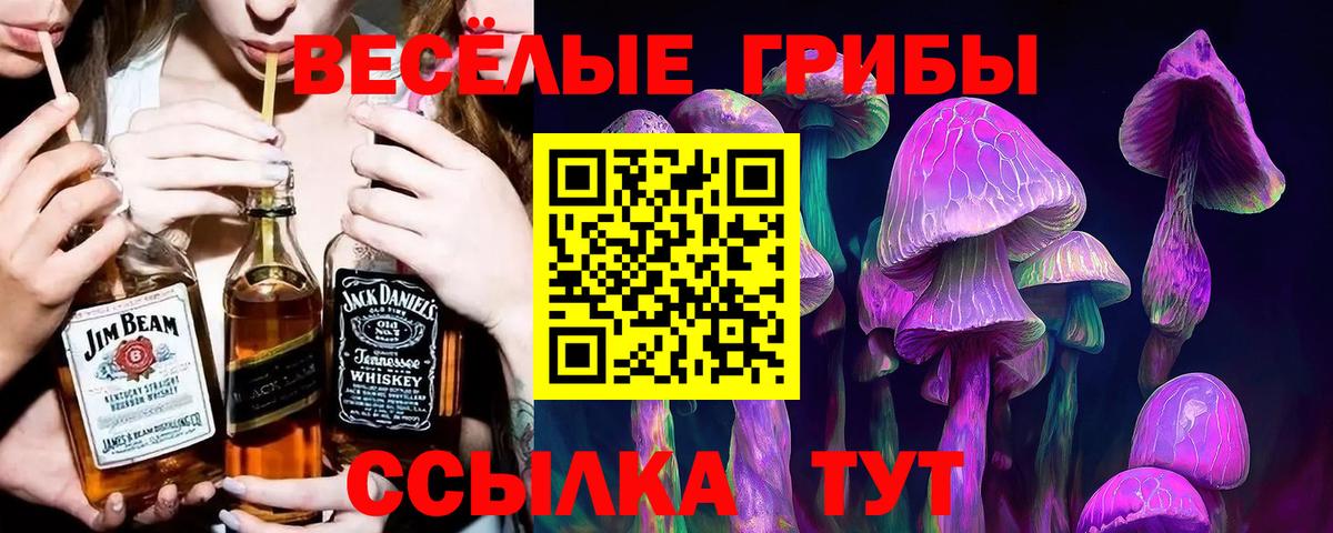 ГАШИШ  Гашиш  Cocaine  Королёв  МЕФ кристаллы  Вход с VPN 
